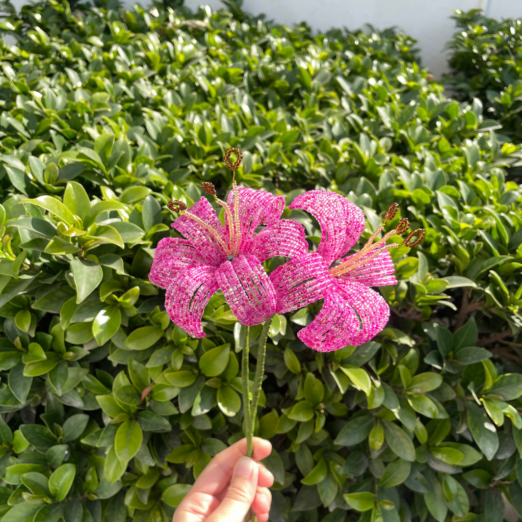 Pink Lily