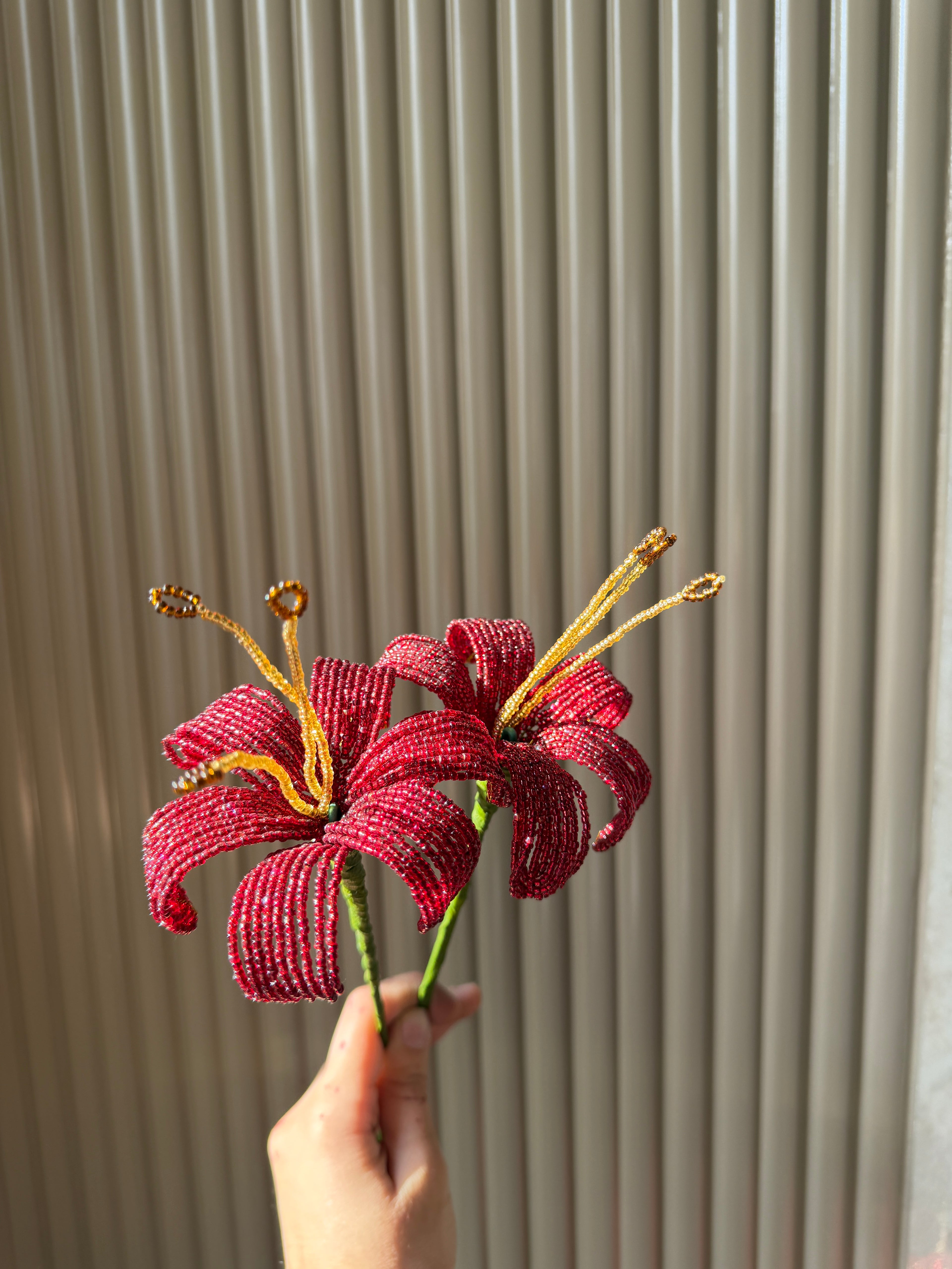 Maroon Lily