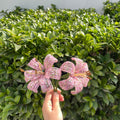 Light pink Lily