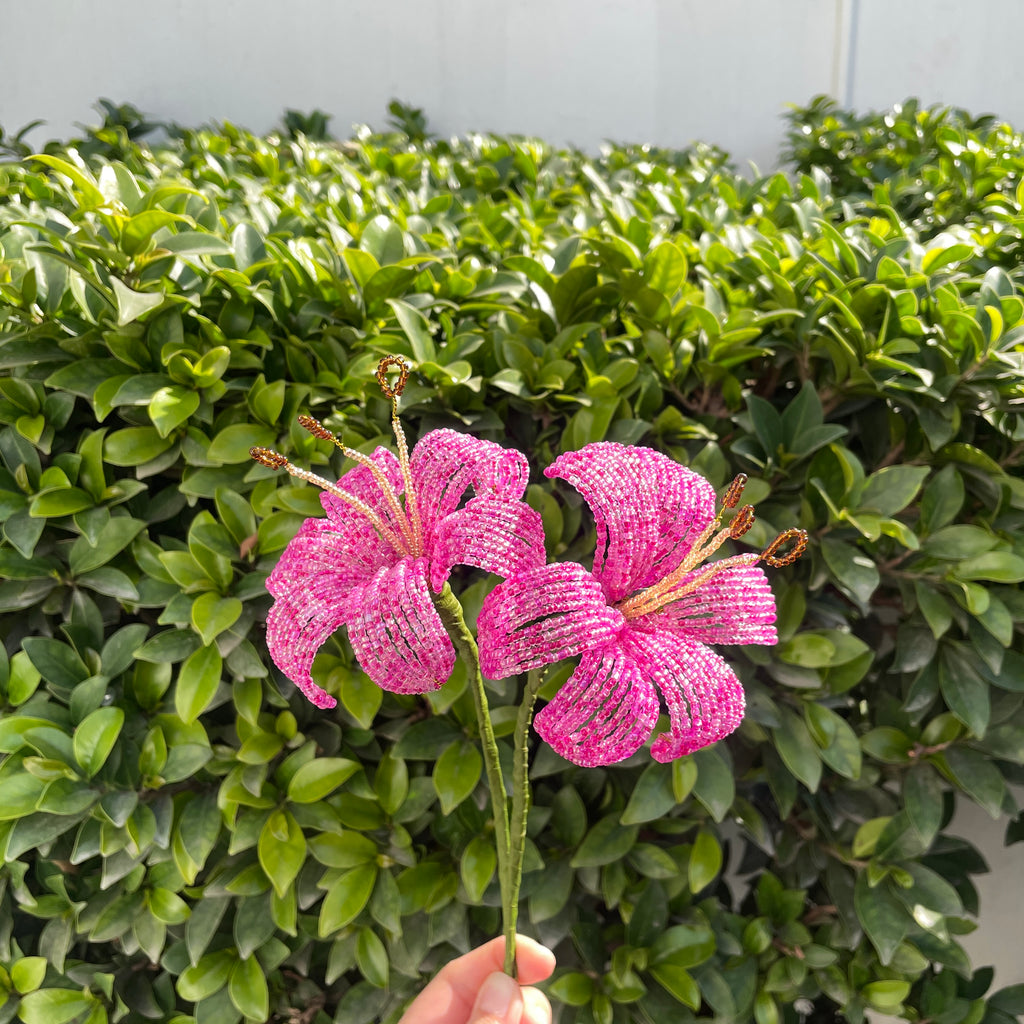 Pink Lily