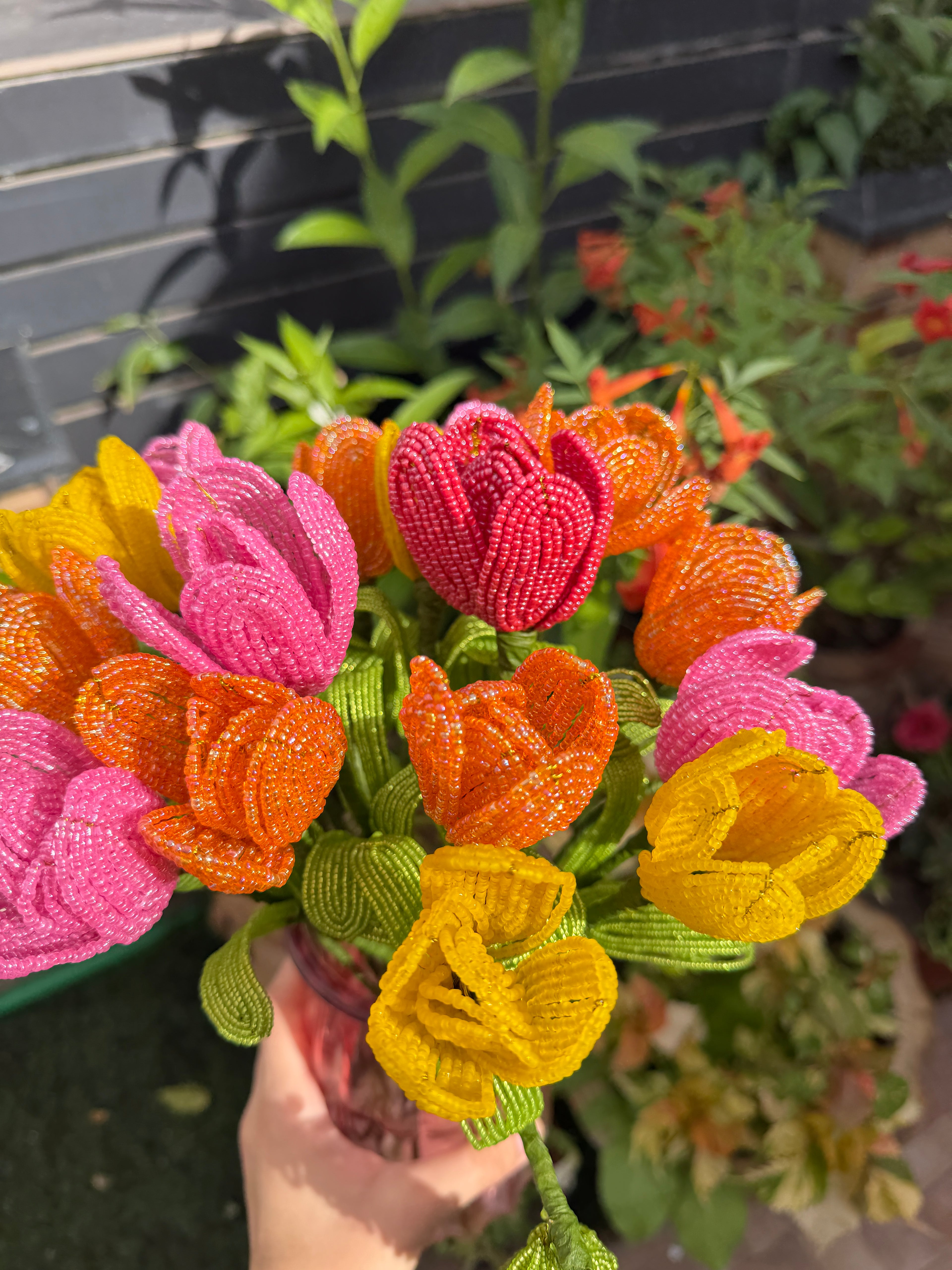 Tulips
