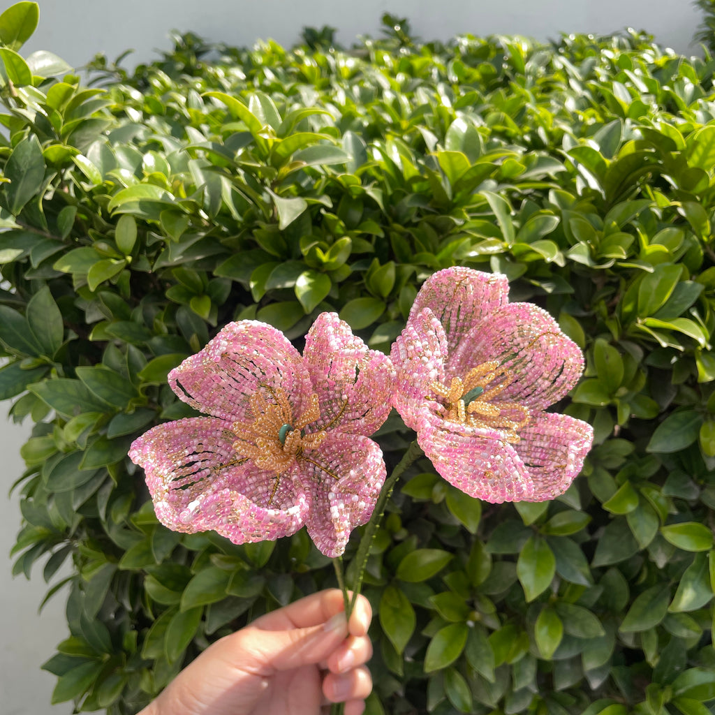 Light pink Peony