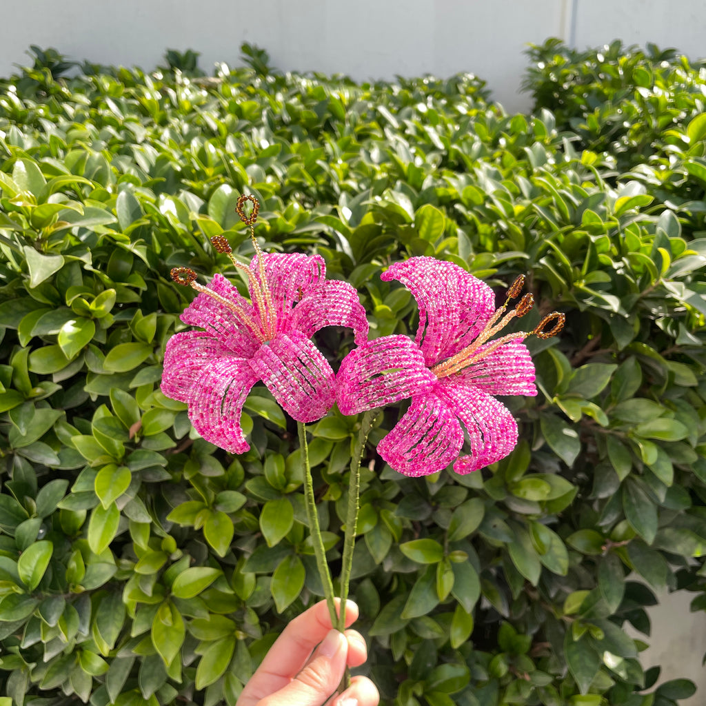 Pink Lily