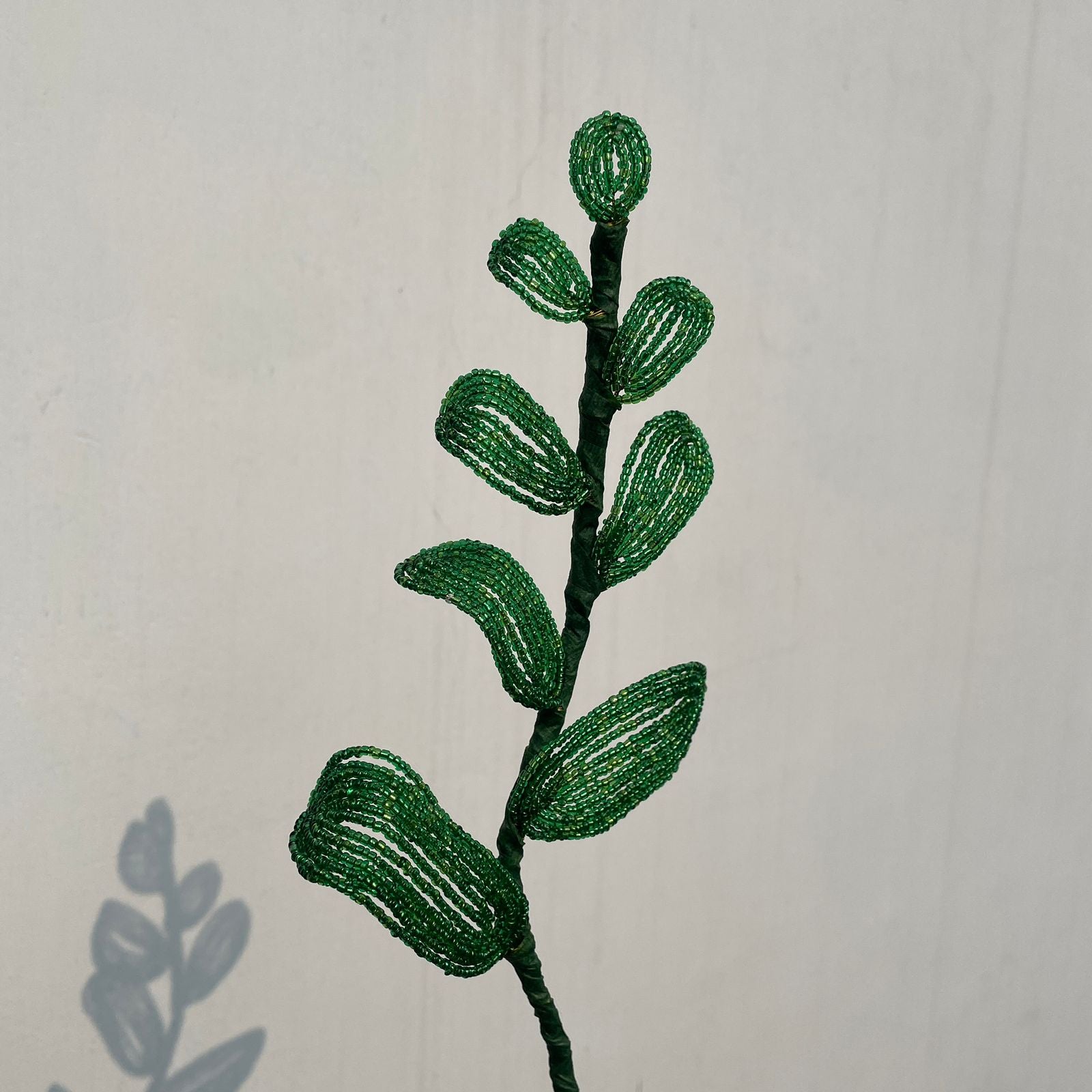 Leafy Stem