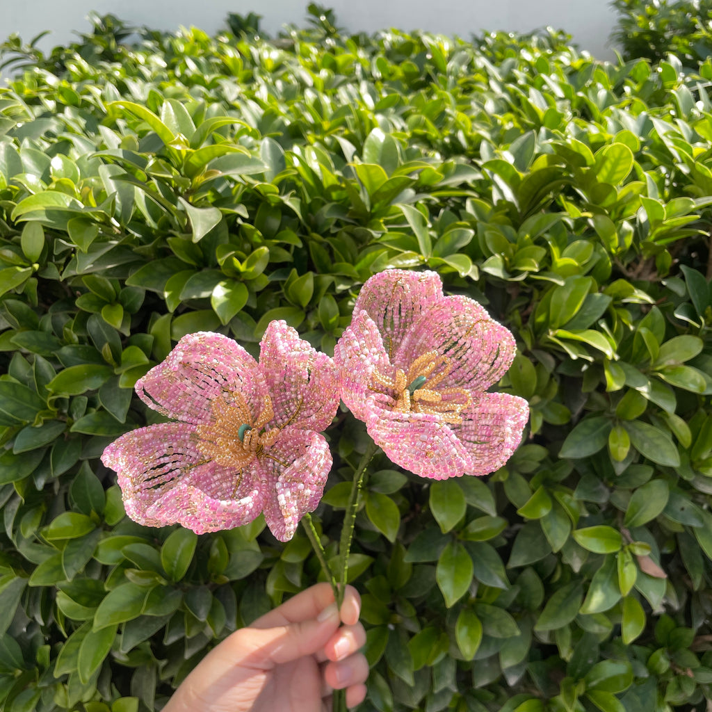 Light pink Peony