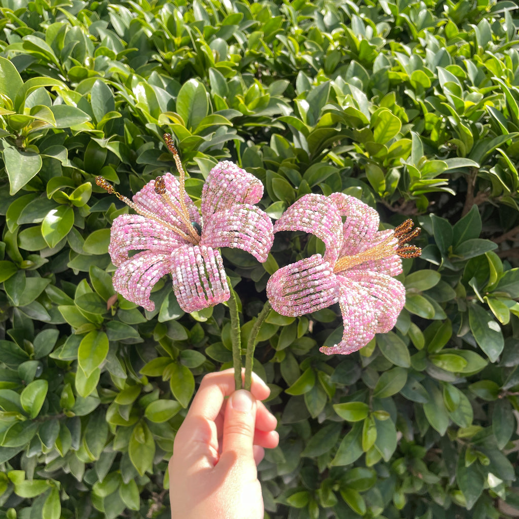 Light pink Lily