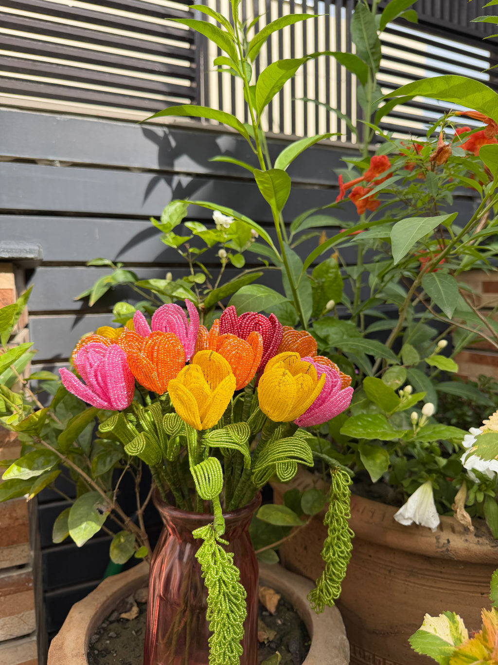 Tulips