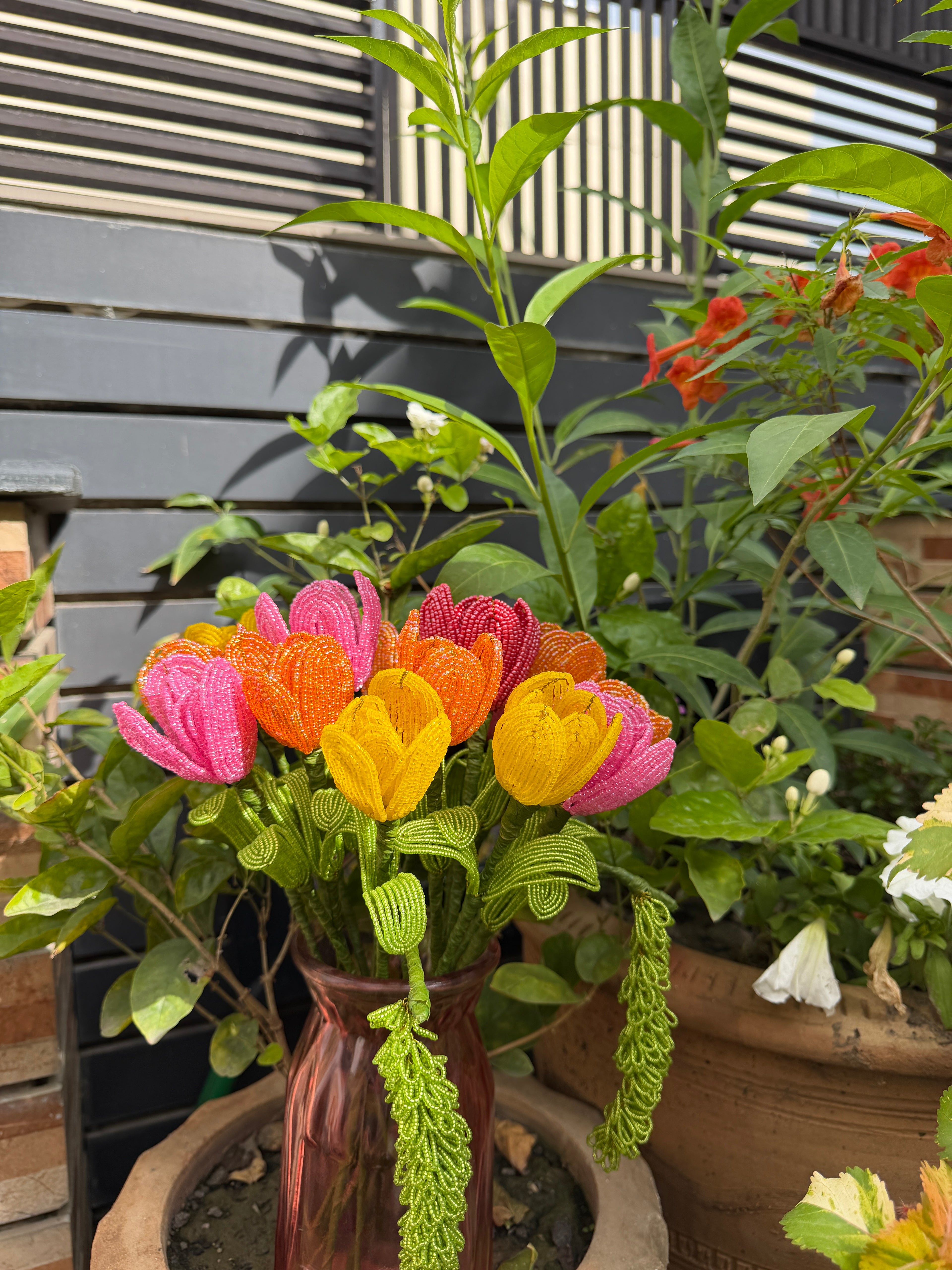 Tulips