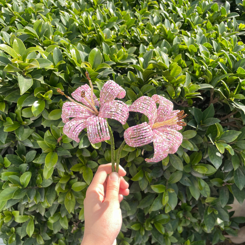 Light pink Lily