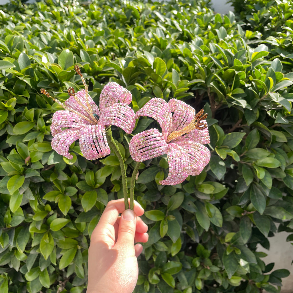 Light pink Lily