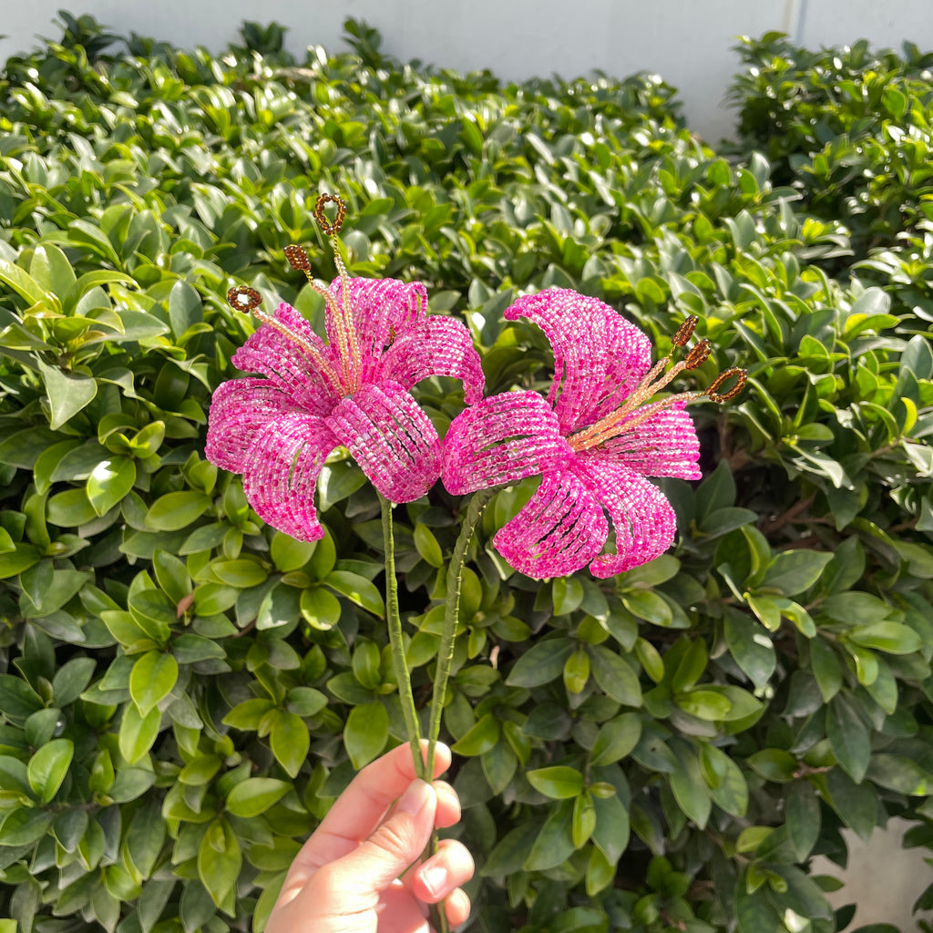 Pink Lily