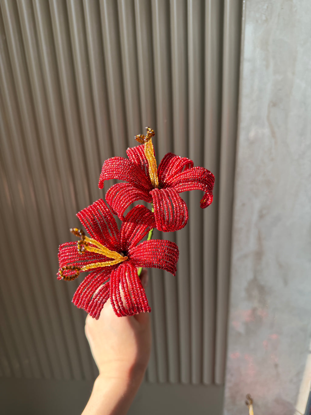Red lily