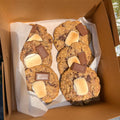 S'mores Oatmeal Chocolate Chip