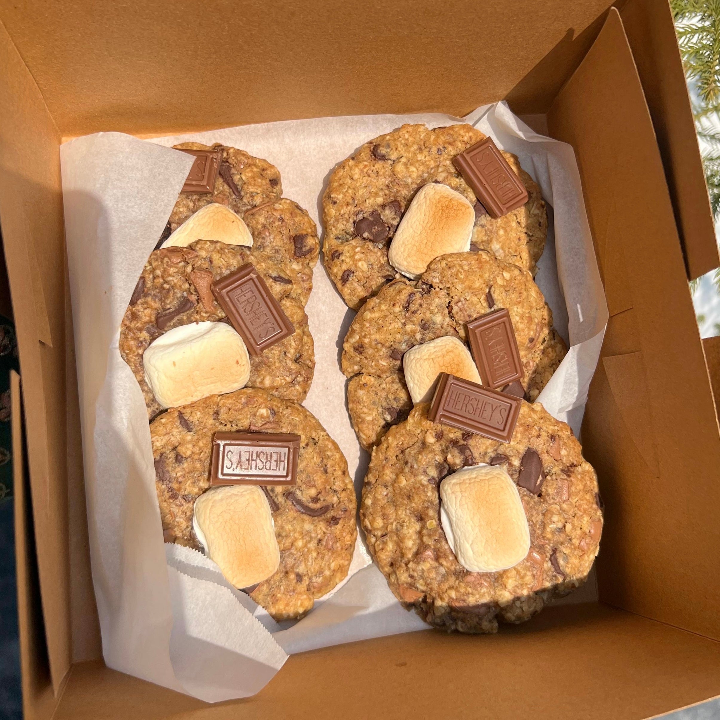 S'mores Oatmeal Chocolate Chip